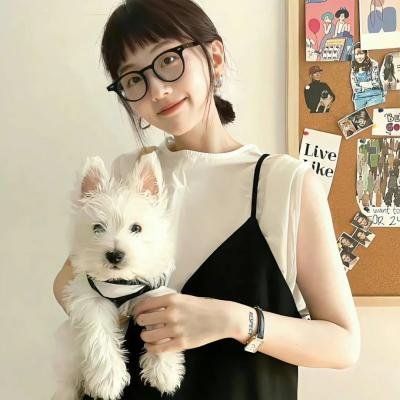 傻子阿达