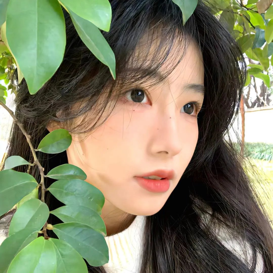 女税务员