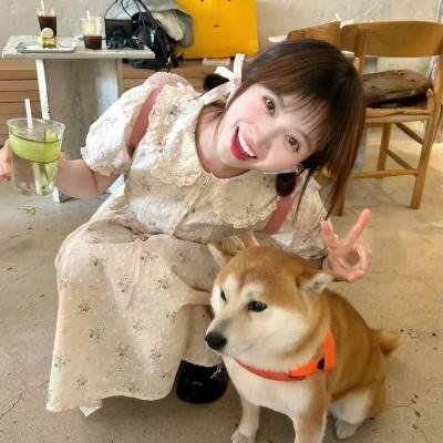 坏情人