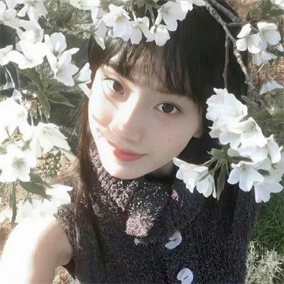 深宫遗梦